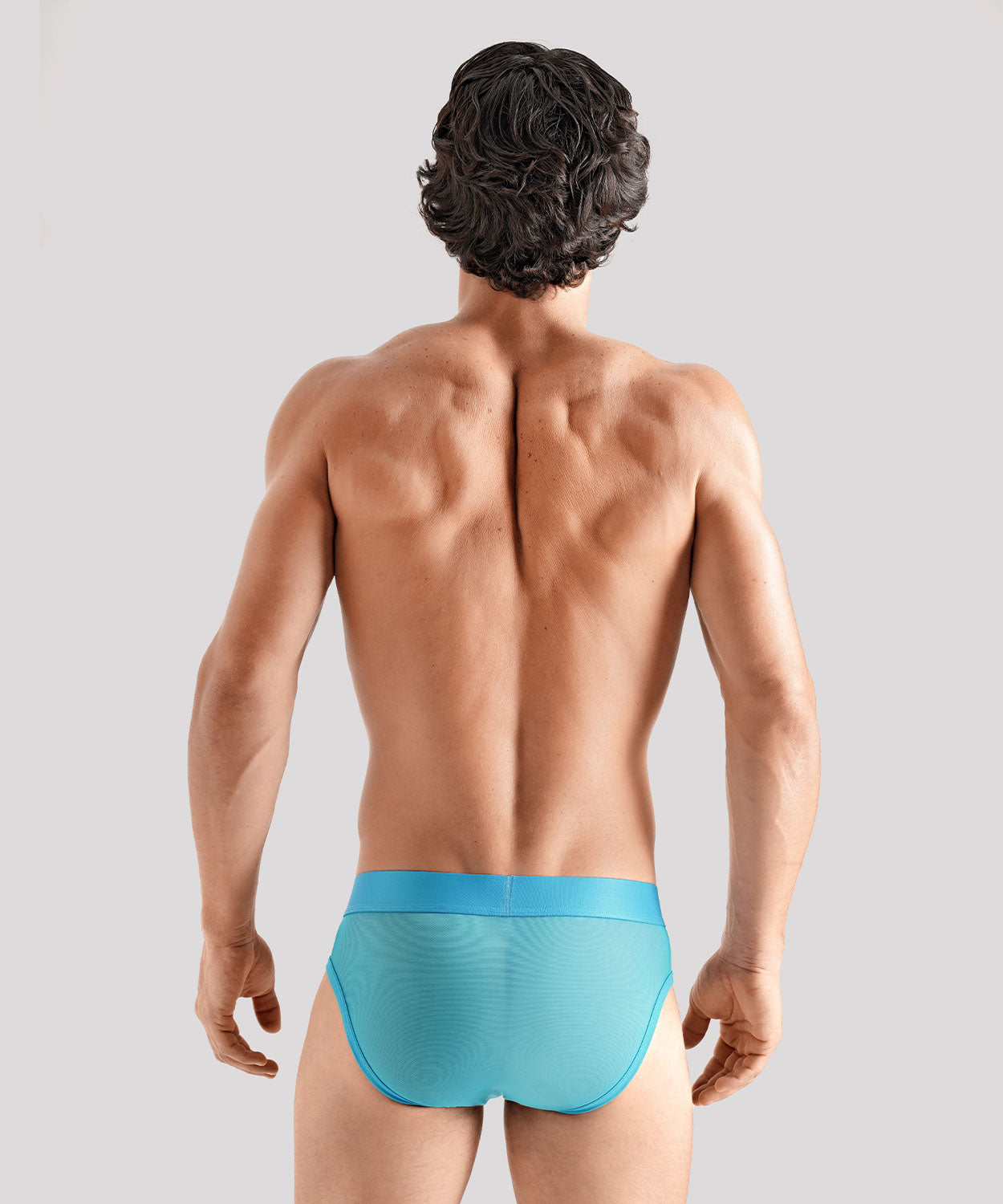 TRANSPARENT PRIDE Package Brief