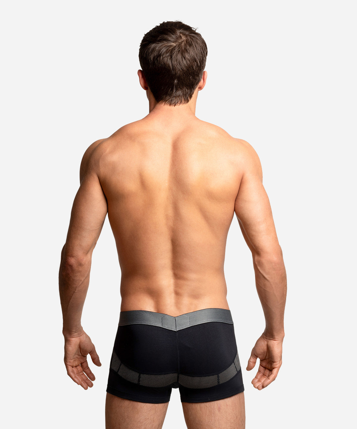 Anatomic Trunk