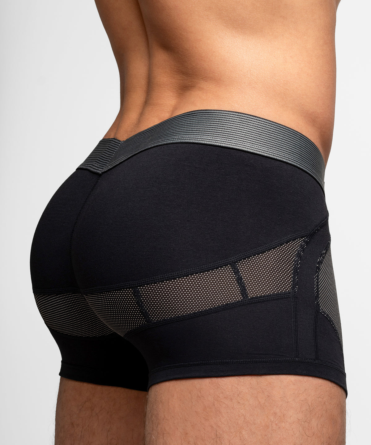 Anatomic Trunk