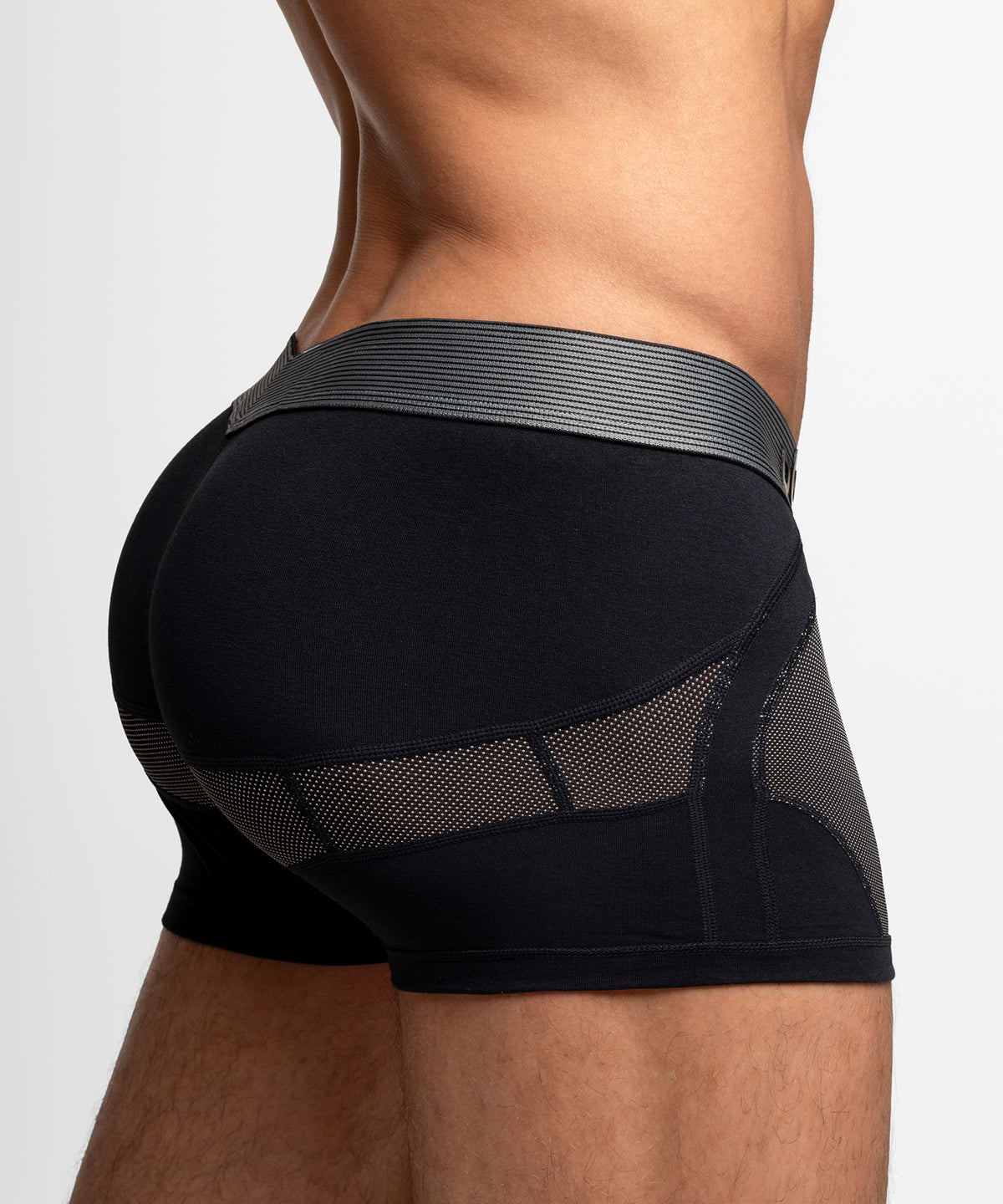 Anatomic Trunk