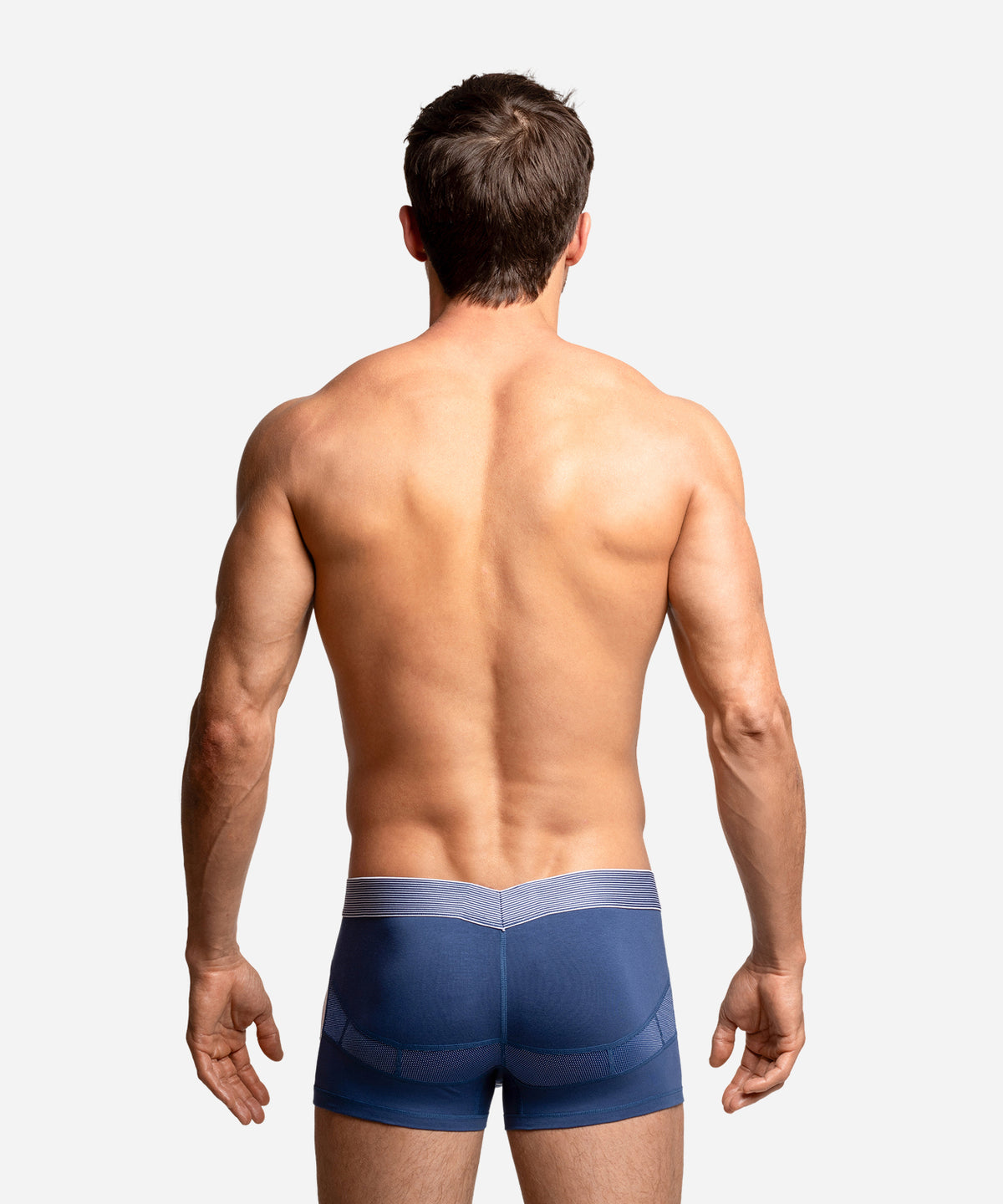 Anatomic Trunk