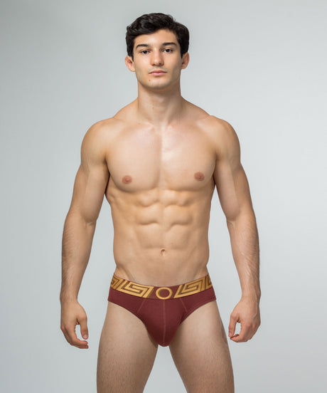 O MY GOD Package Brief Brown