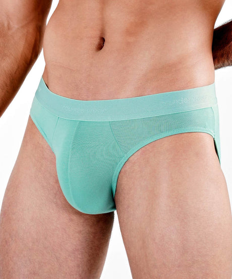 Essentials Modal Brief
