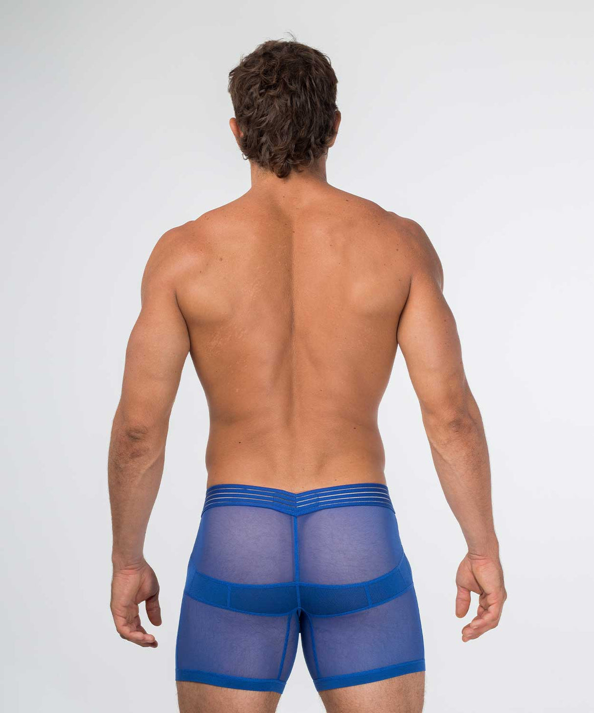 SEXY NIGHTS Anatomic Boxer Brief