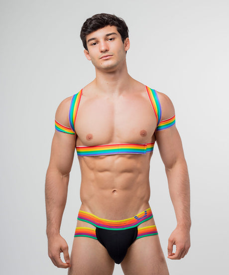 PRIDE Posture Harness
