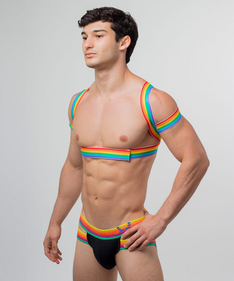 PRIDE Posture Harness