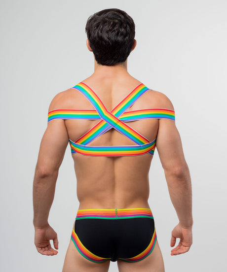 PRIDE Posture Harness