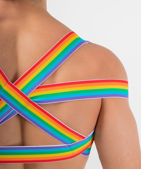 PRIDE Posture Harness