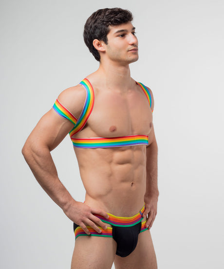 PRIDE Posture Harness