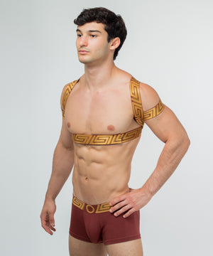 O MY GOD Posture Harness