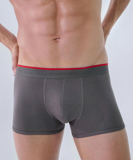 Trunk - Essentials Gray