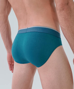 Essentials Modal Brief